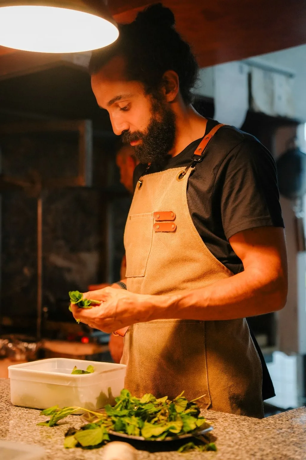Selecção de ervas aromáticas